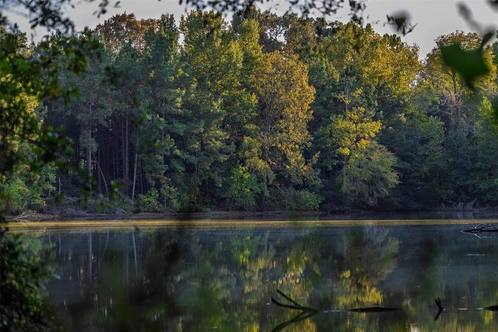 100 acres in Shelby County - photo 18