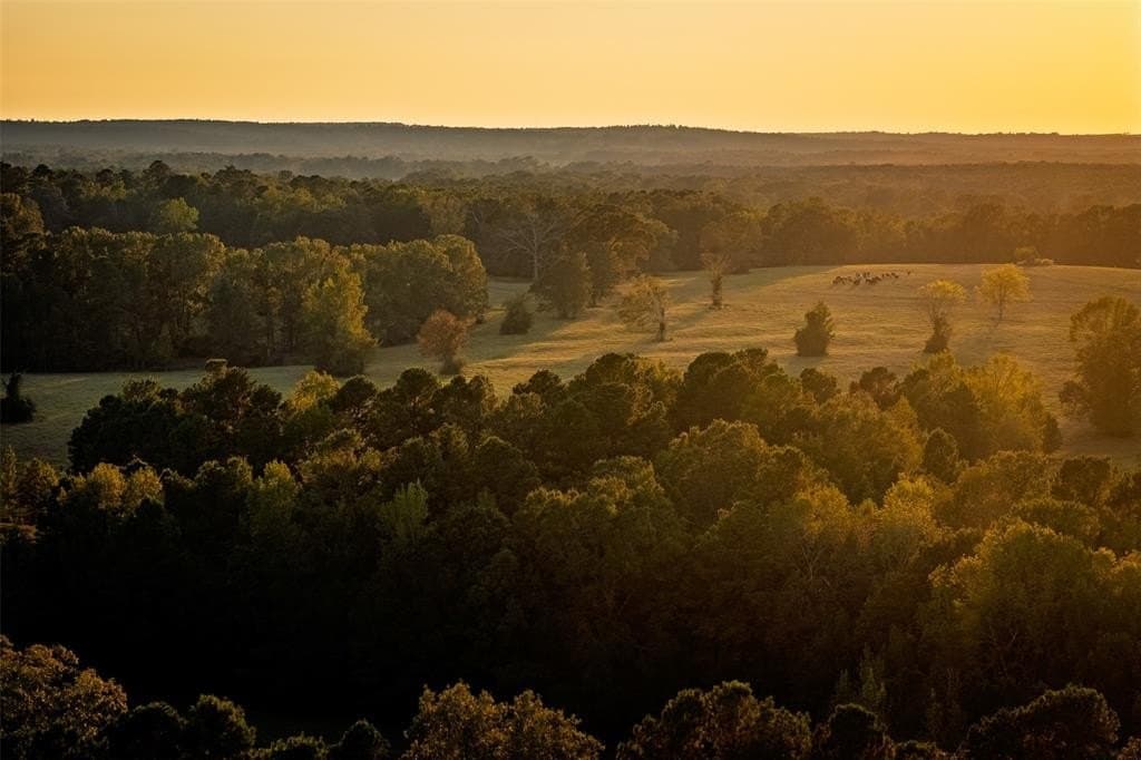 100 acres in Shelby County - photo 3