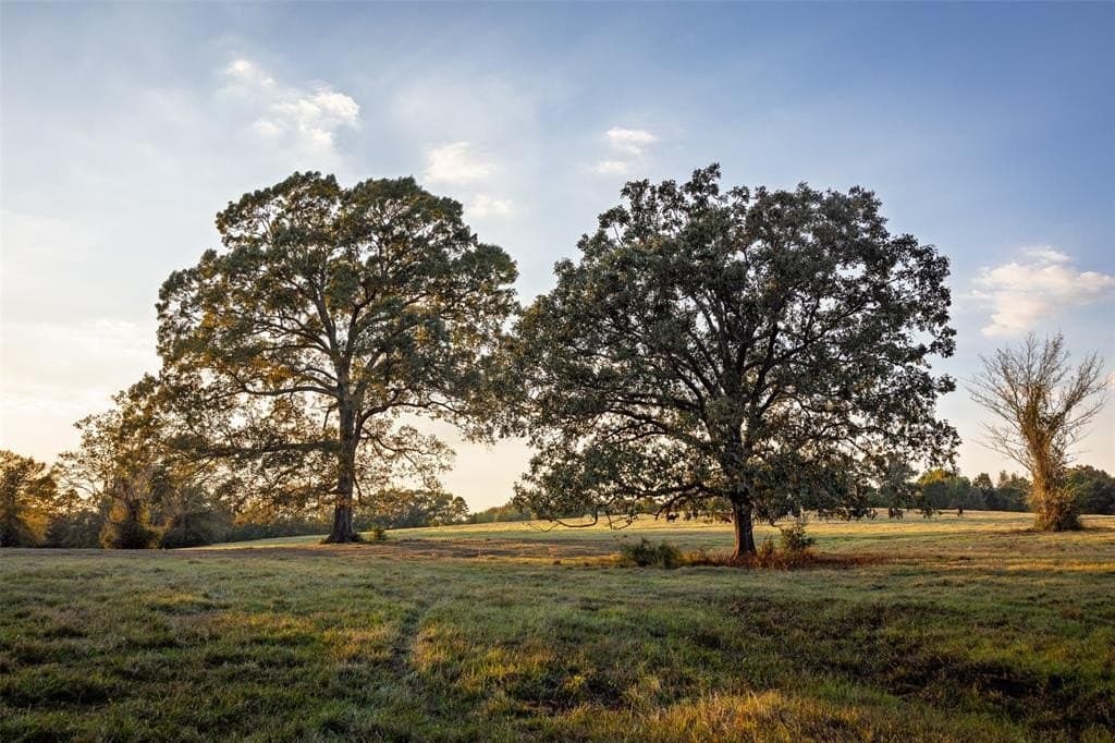100 acres in Shelby County - photo 22