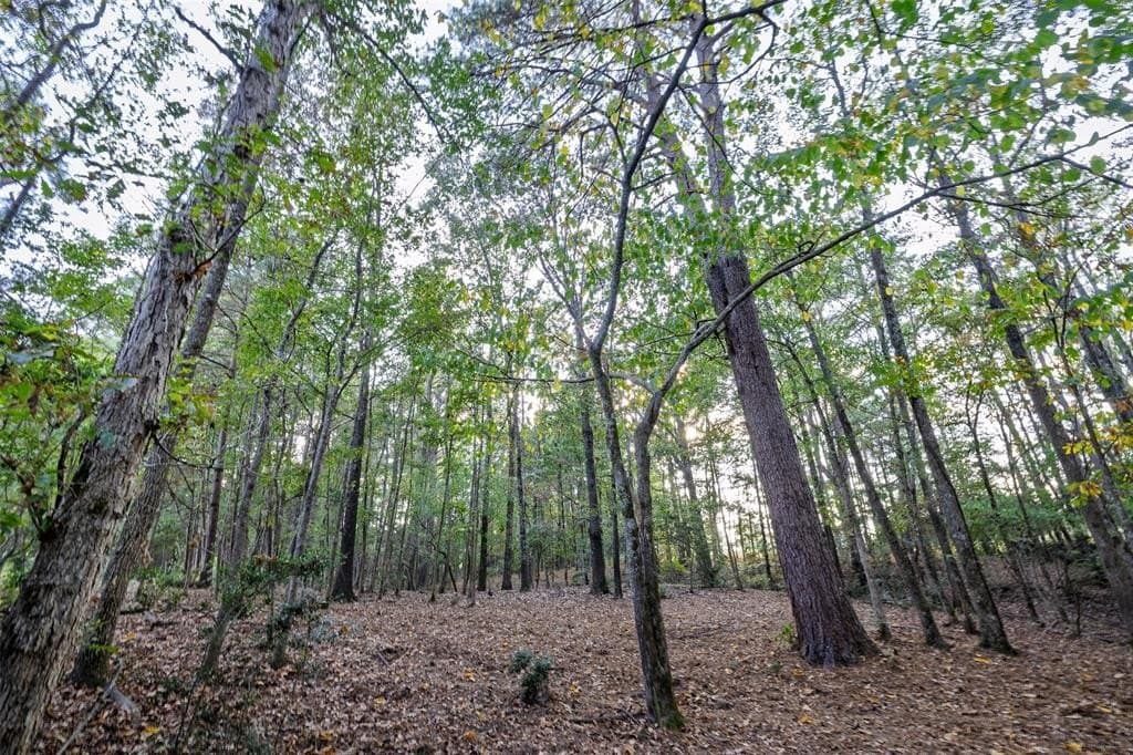 100 acres in Shelby County - photo 29