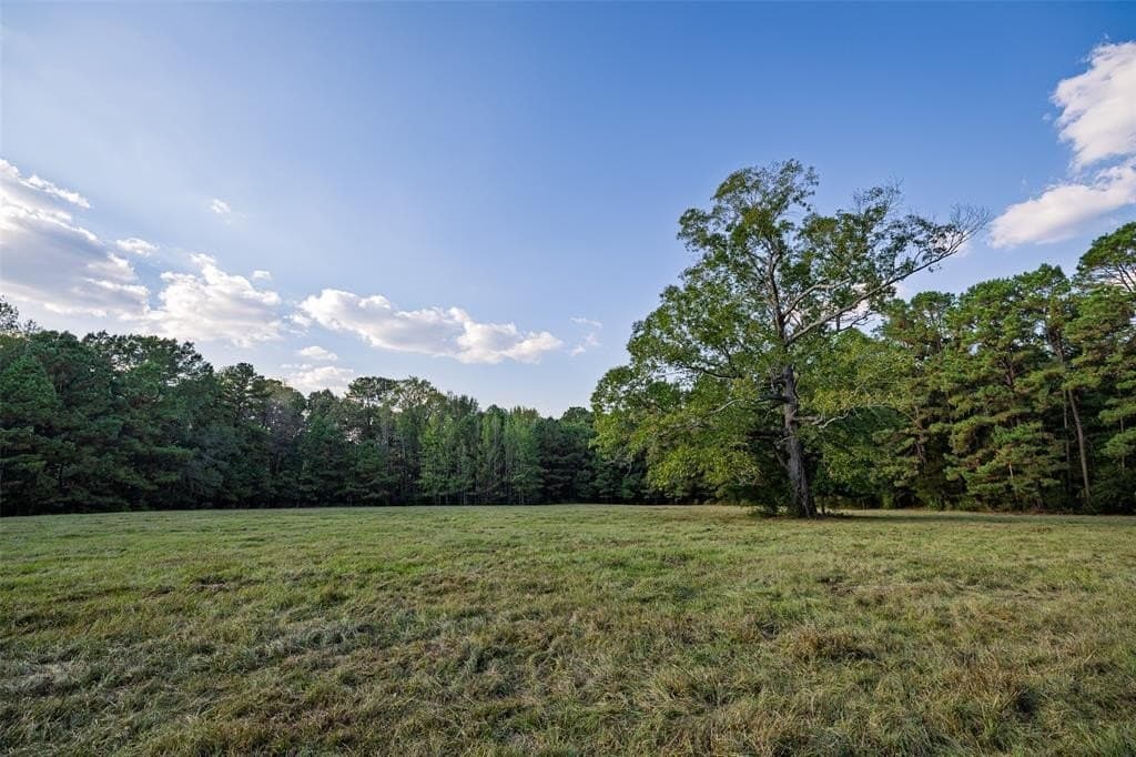 100 acres in Shelby County - photo 26