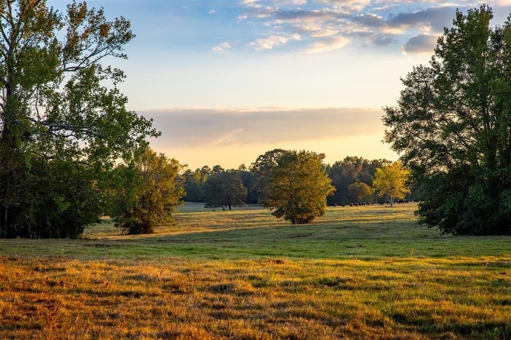 100 acres in Shelby County - photo 24