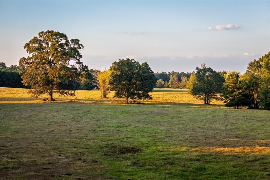 100 acres in Shelby County - photo 39