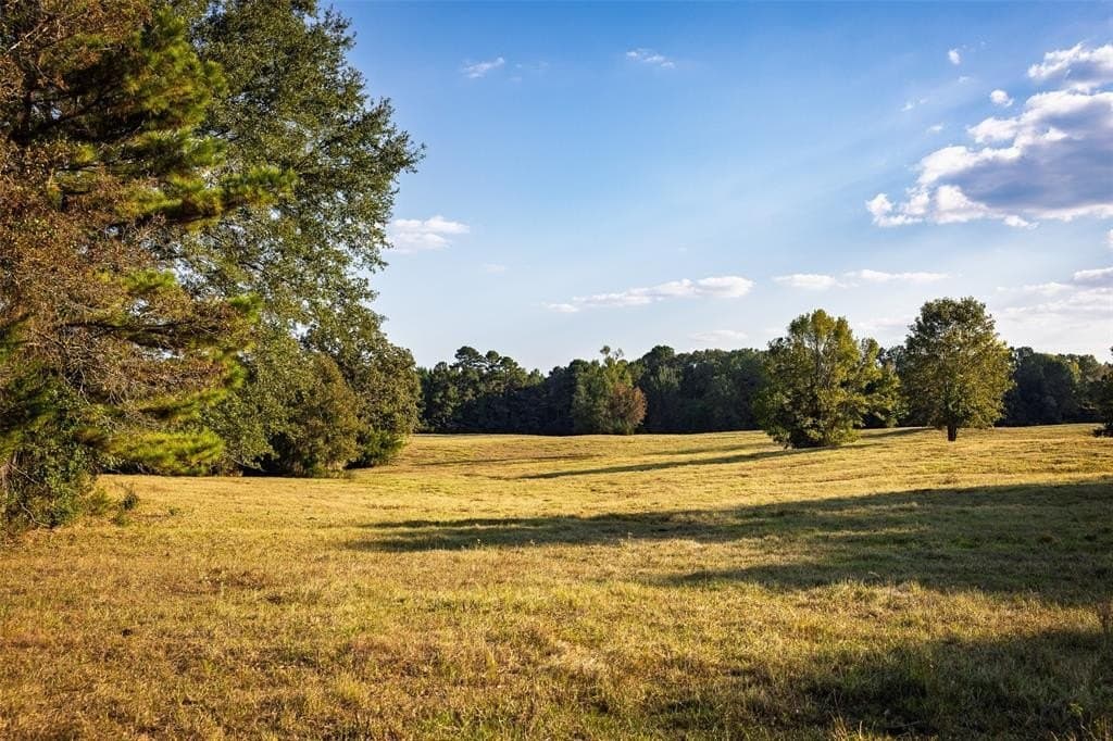 100 acres in Shelby County - photo 33