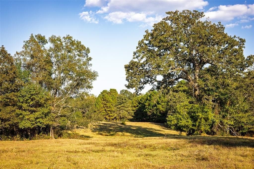 100 acres in Shelby County - photo 34