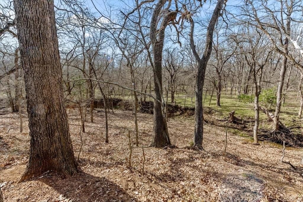 32 acres in Hill County - photo 22