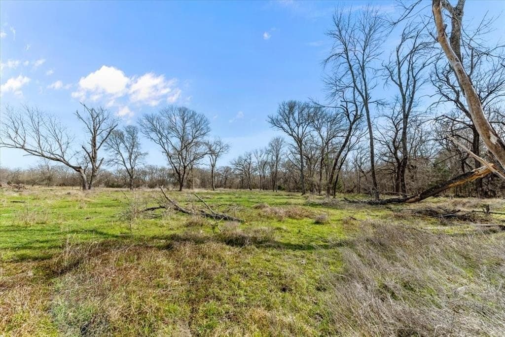 32 acres in Hill County - photo 18