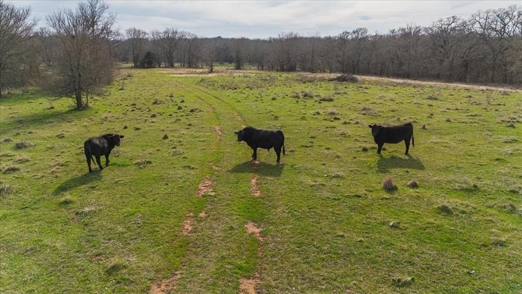 32 acres in Hill County - photo 11