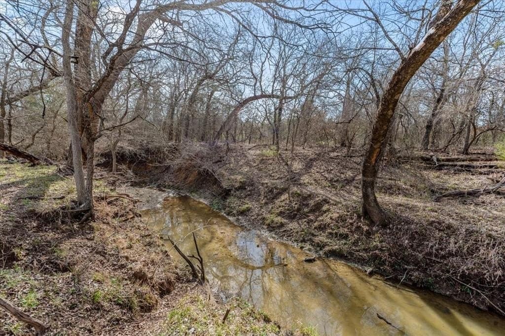 32 acres in Hill County - photo 16