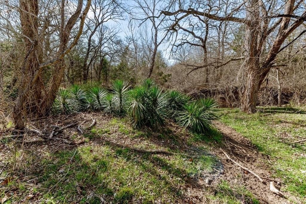 32 acres in Hill County - photo 20