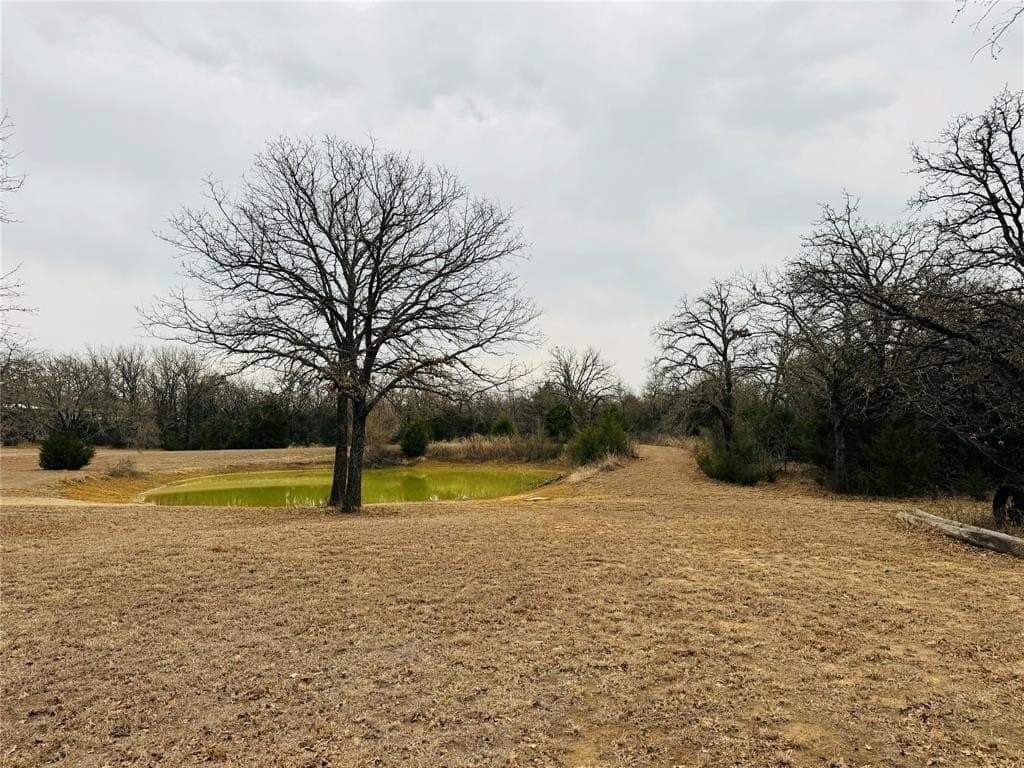 Tbd County Road 310