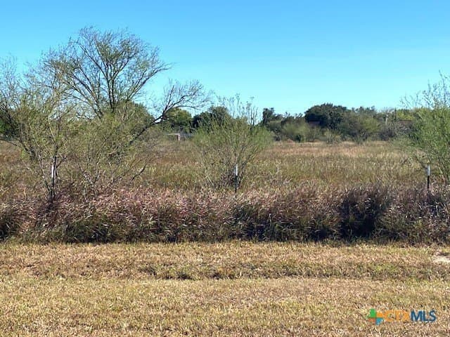 3.3 acres in Victoria County - photo 3