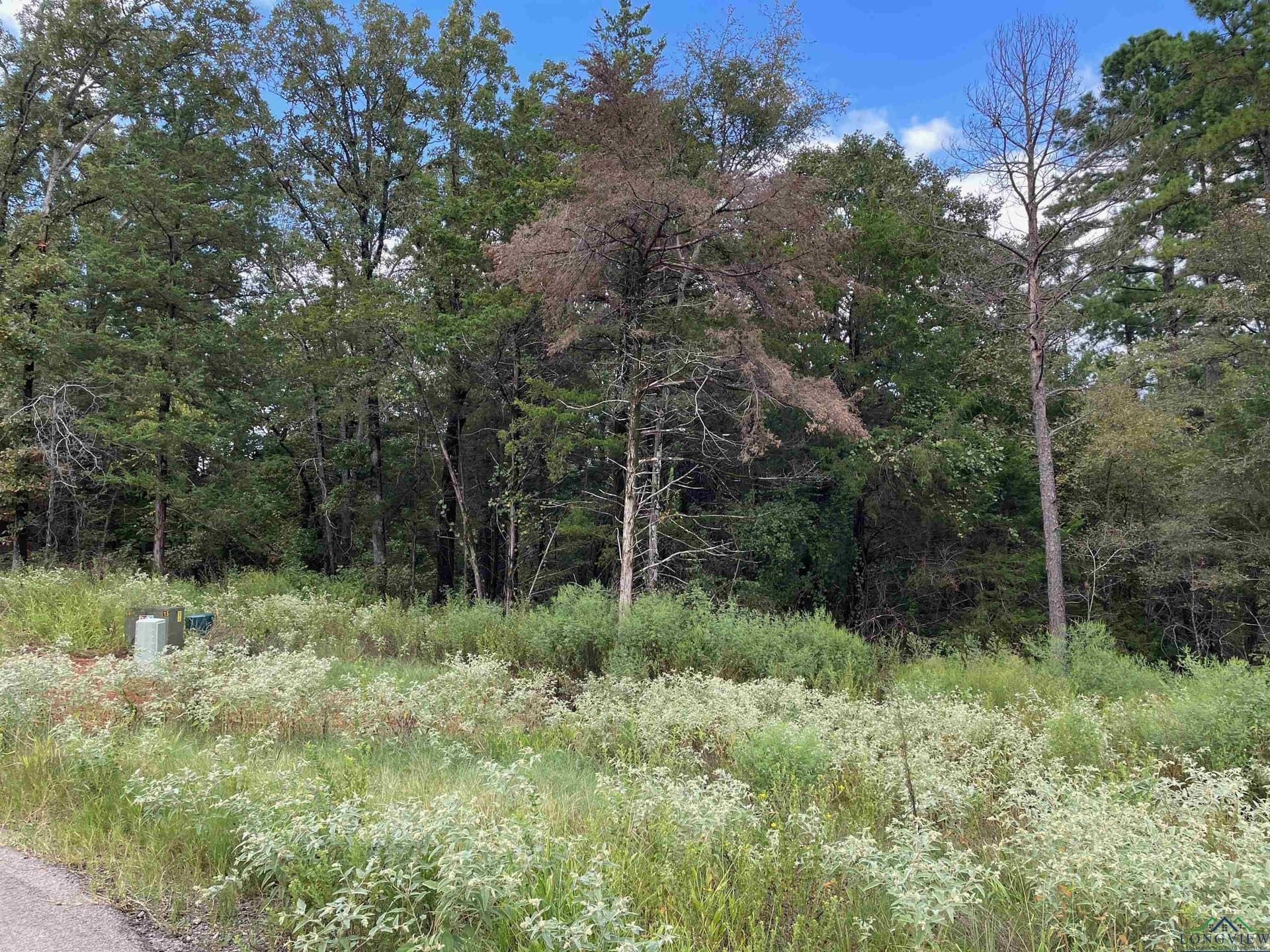 0.67 acres in Smith County - photo 2