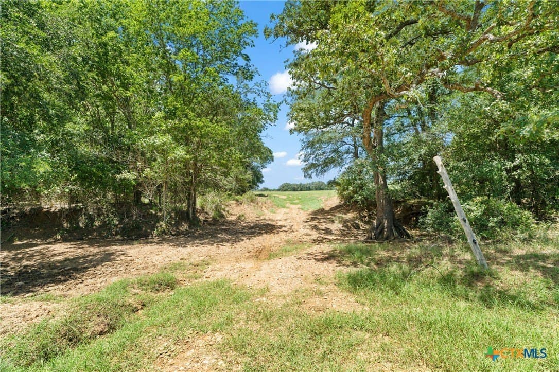 176.29 acres in Bastrop County - photo 43