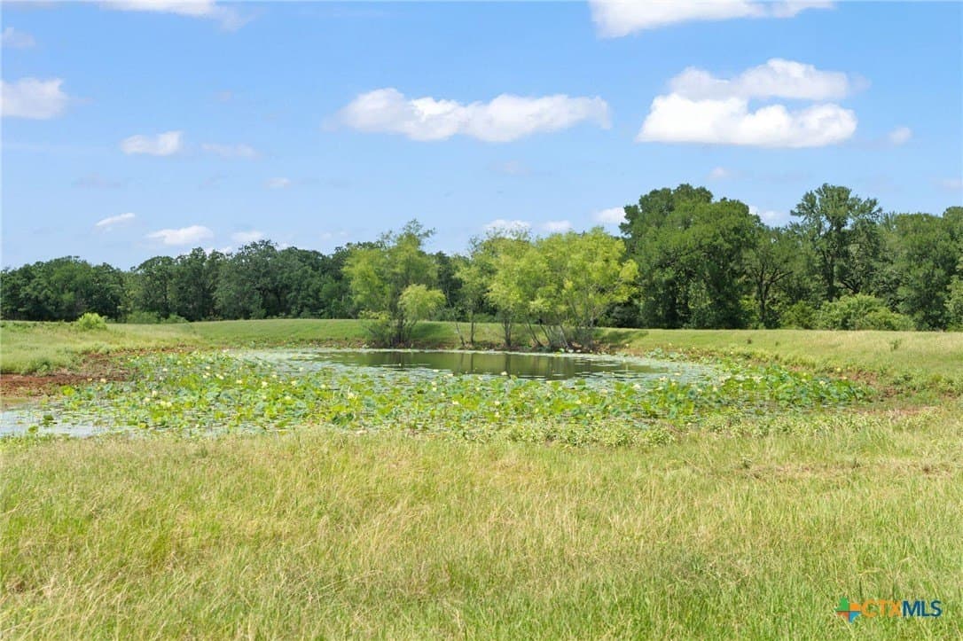 176.29 acres in Bastrop County - photo 16