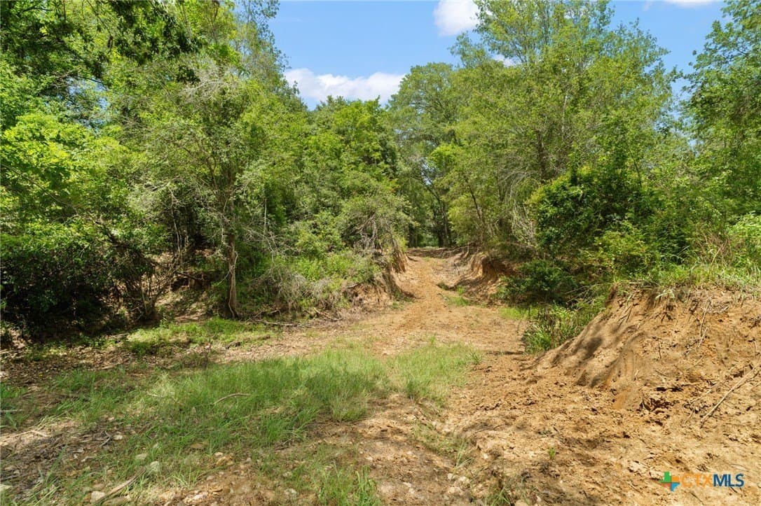 176.29 acres in Bastrop County - photo 32