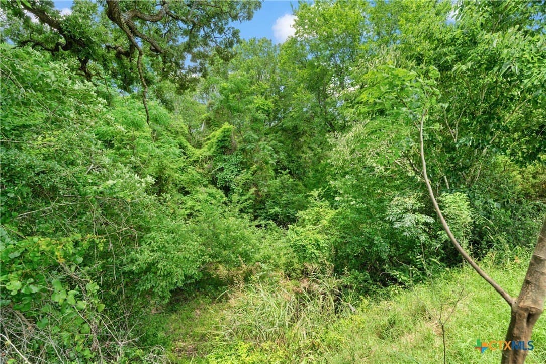 176.29 acres in Bastrop County - photo 33