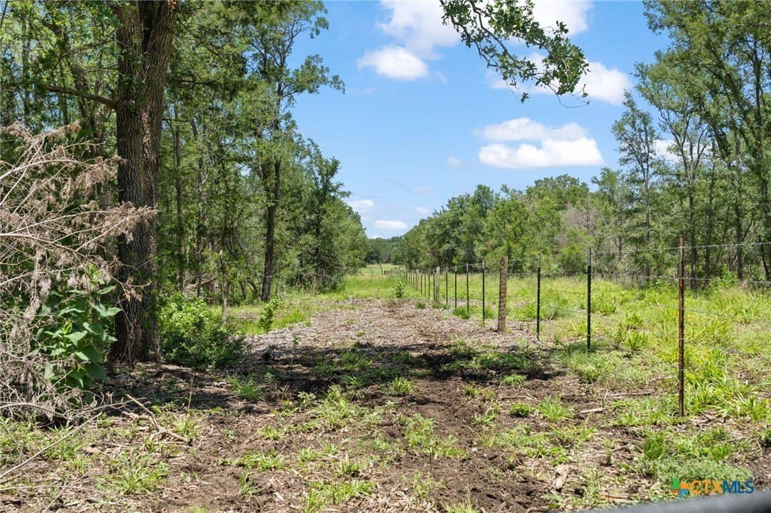 176.29 acres in Bastrop County - photo 25