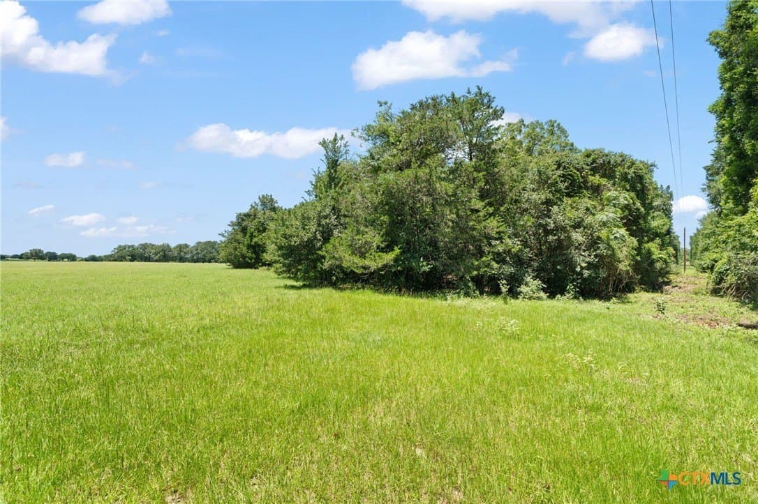 176.29 acres in Bastrop County - photo 22