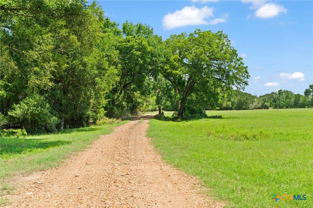 176.29 acres in Bastrop County - photo 12