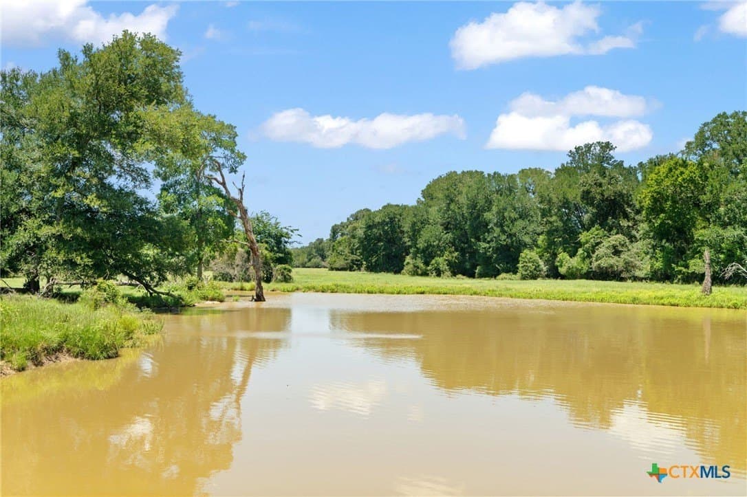 176.29 acres in Bastrop County - photo 7