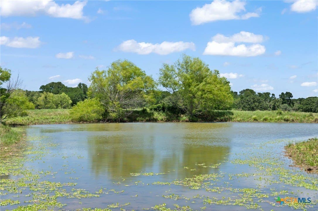 176.29 acres in Bastrop County - photo 3