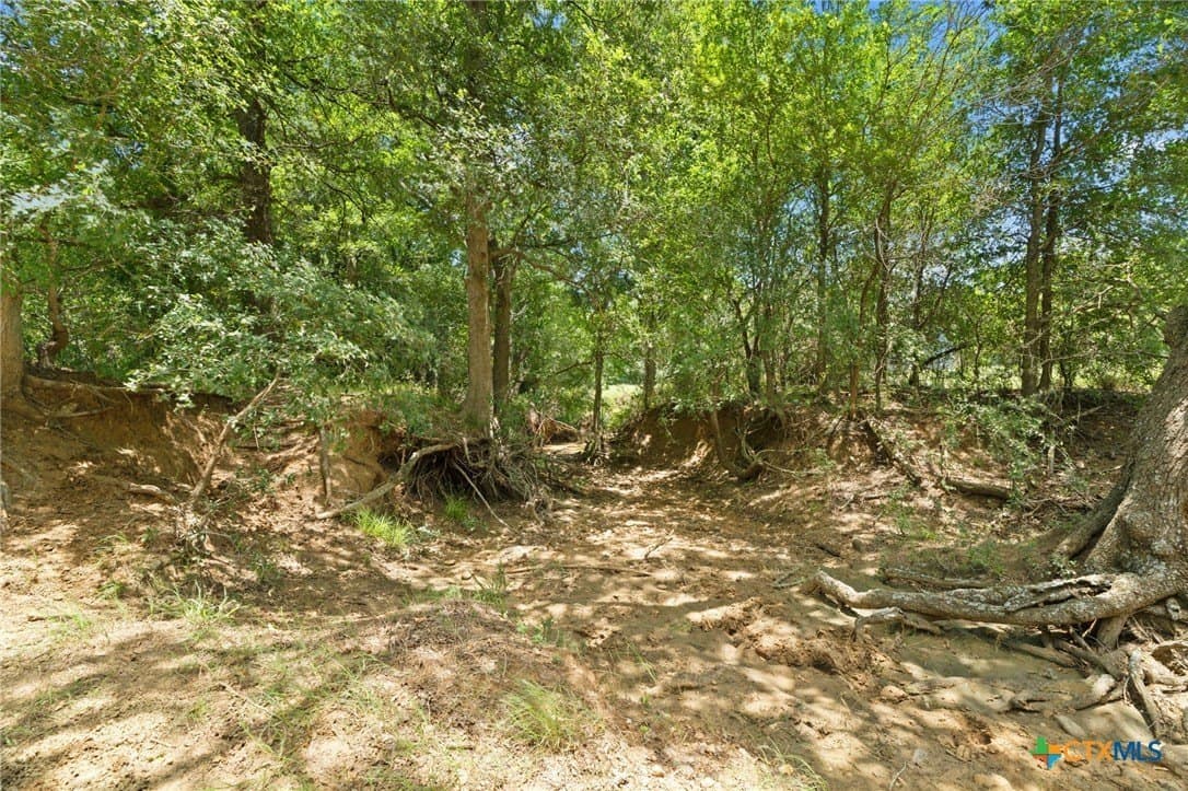 176.29 acres in Bastrop County - photo 23