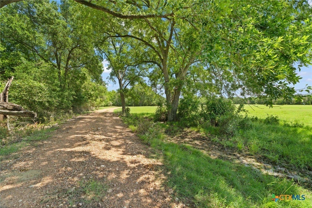 176.29 acres in Bastrop County - photo 30
