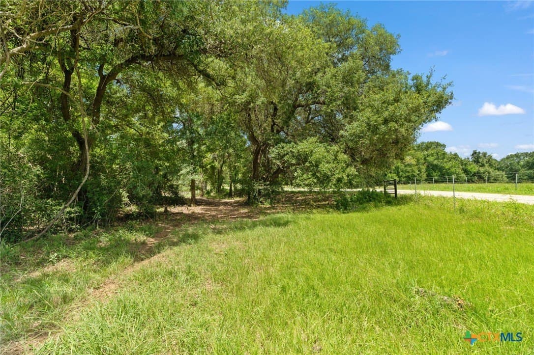 176.29 acres in Bastrop County - photo 31