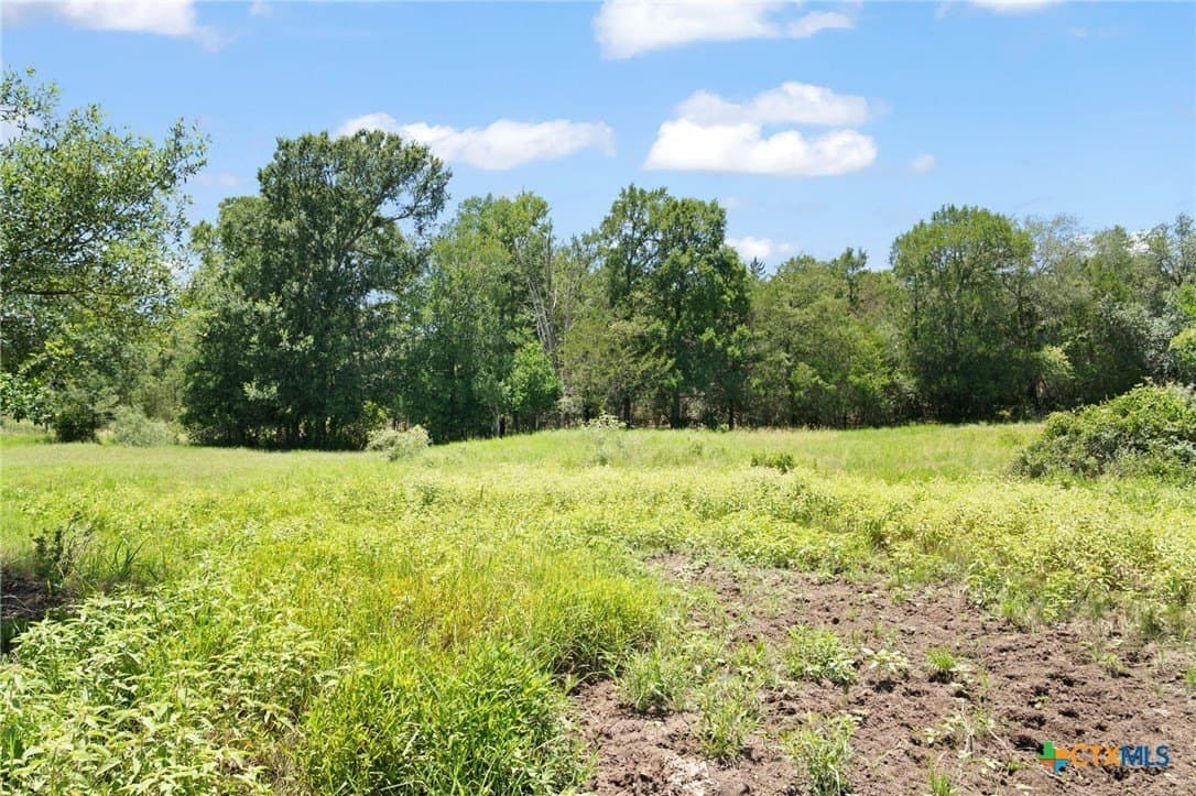 176.29 acres in Bastrop County - photo 24