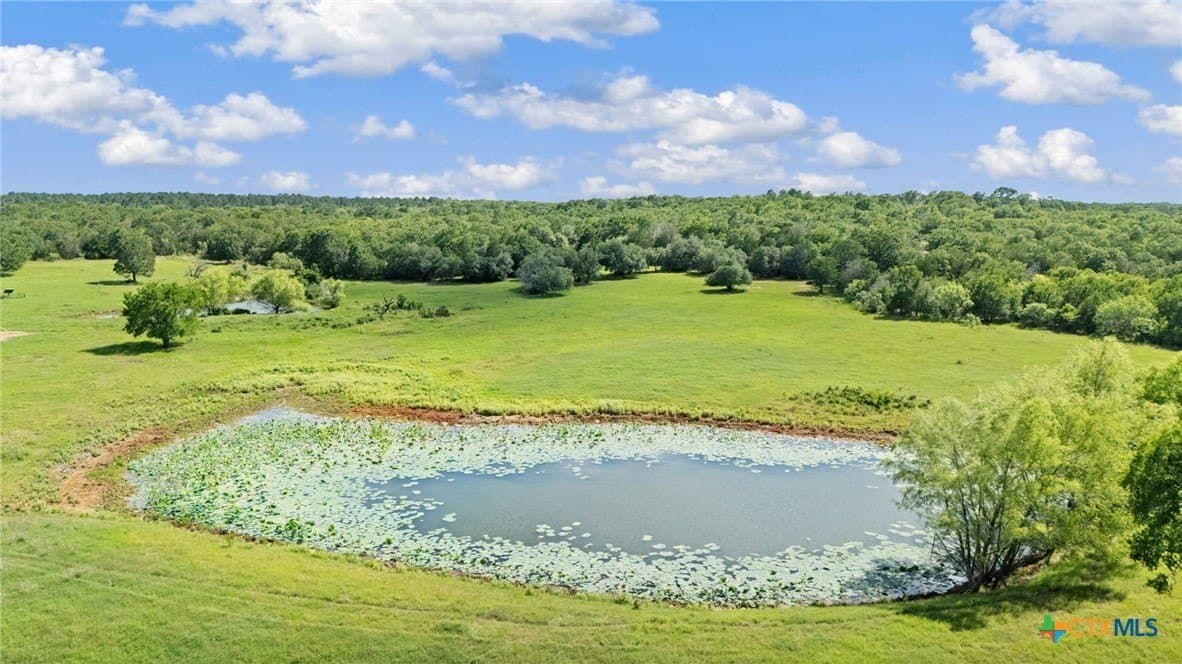 176.29 acres in Bastrop County - photo 15