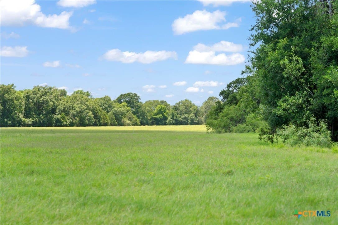 176.29 acres in Bastrop County - photo 20
