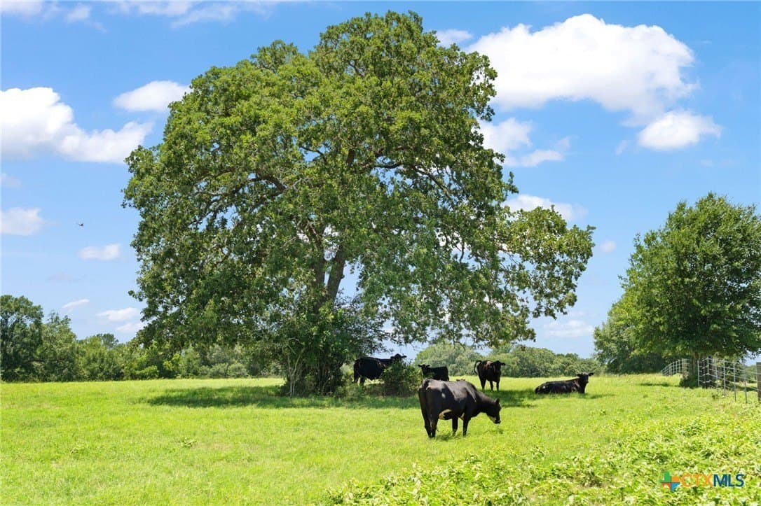 176.29 acres in Bastrop County - photo 8
