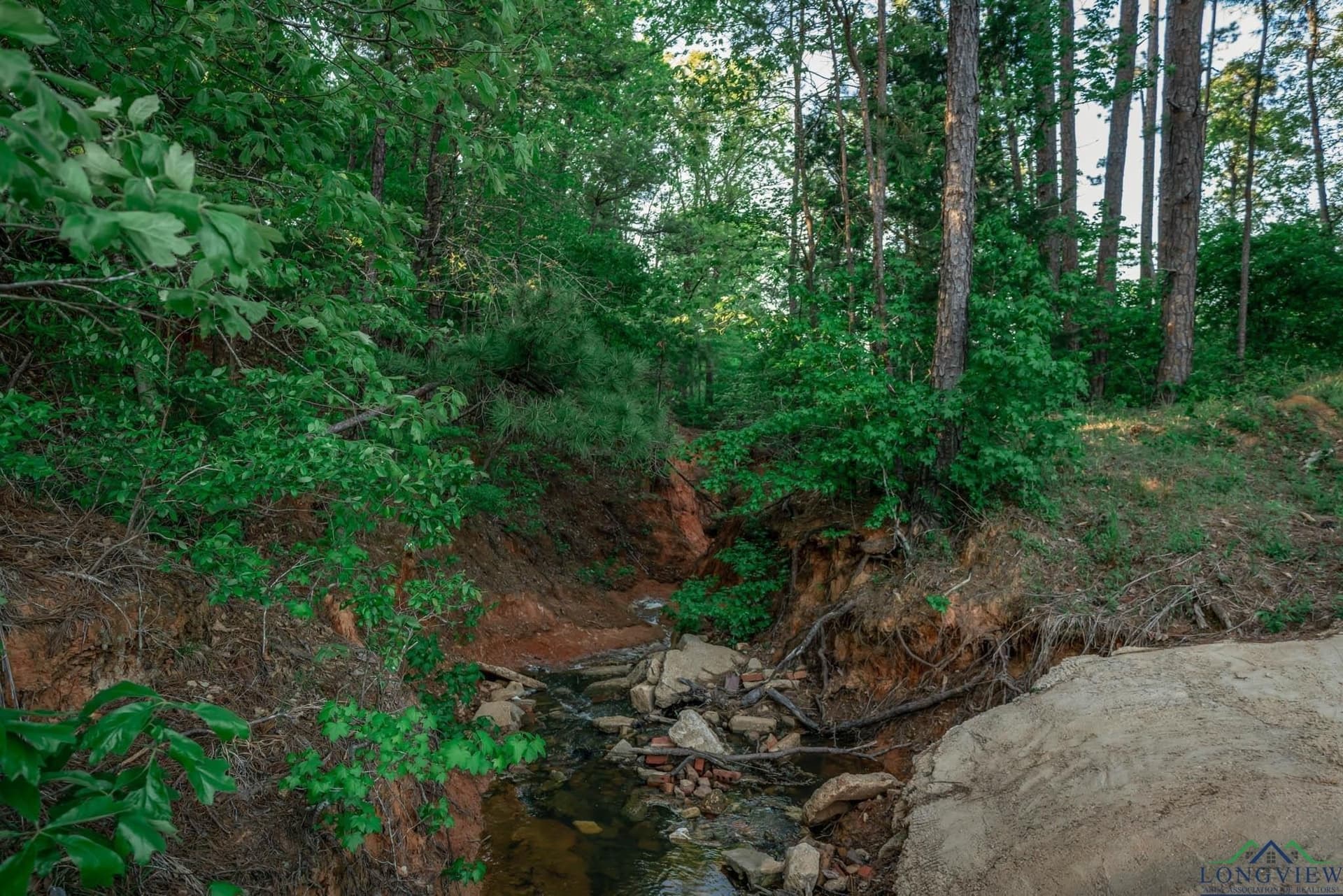1.32 acres in Harrison County - photo 36