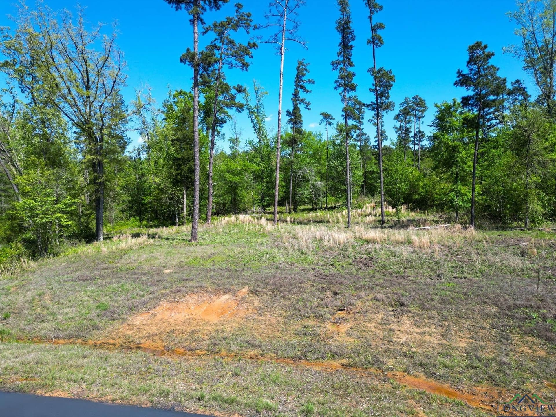 1.32 acres in Harrison County - photo 5