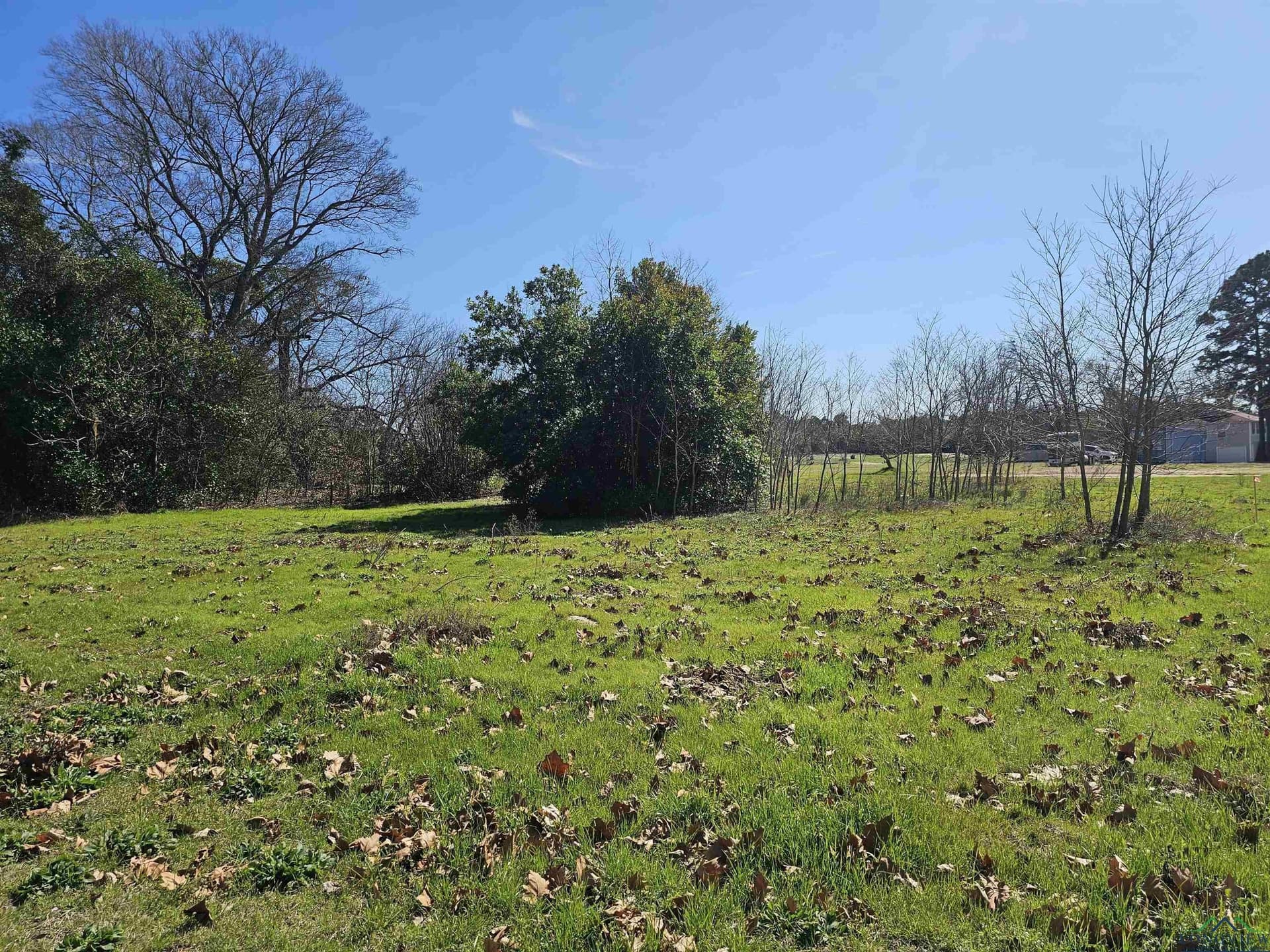 0.72 acres in Upshur County - photo 3