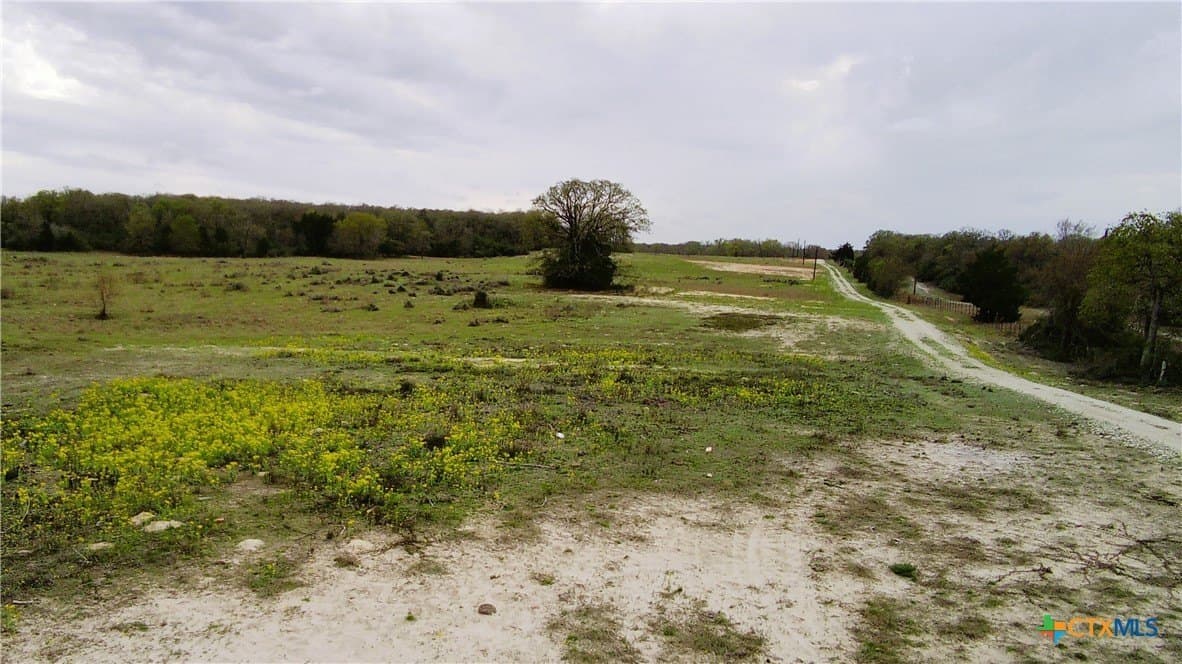 15 acres in Limestone County - photo 4