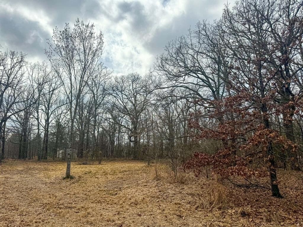 1.74 acres in Wood County - photo 18