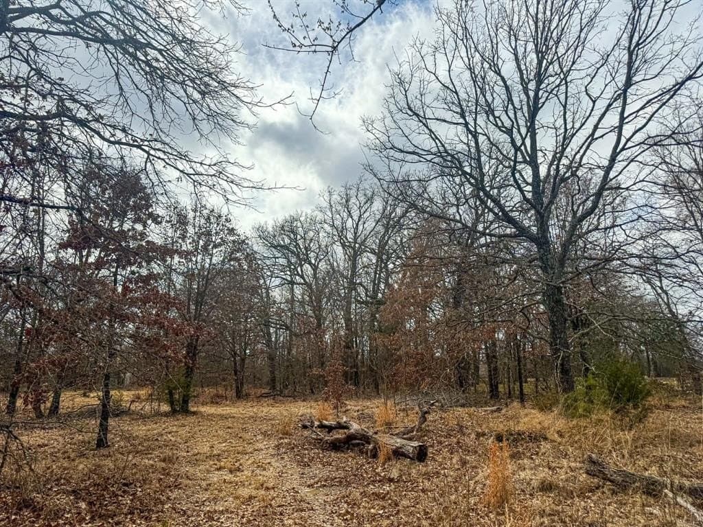 1.74 acres in Wood County - photo 15