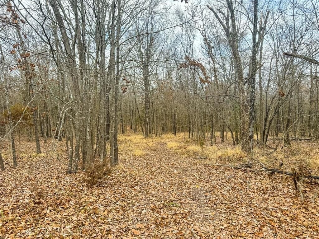 1.74 acres in Wood County - photo 20