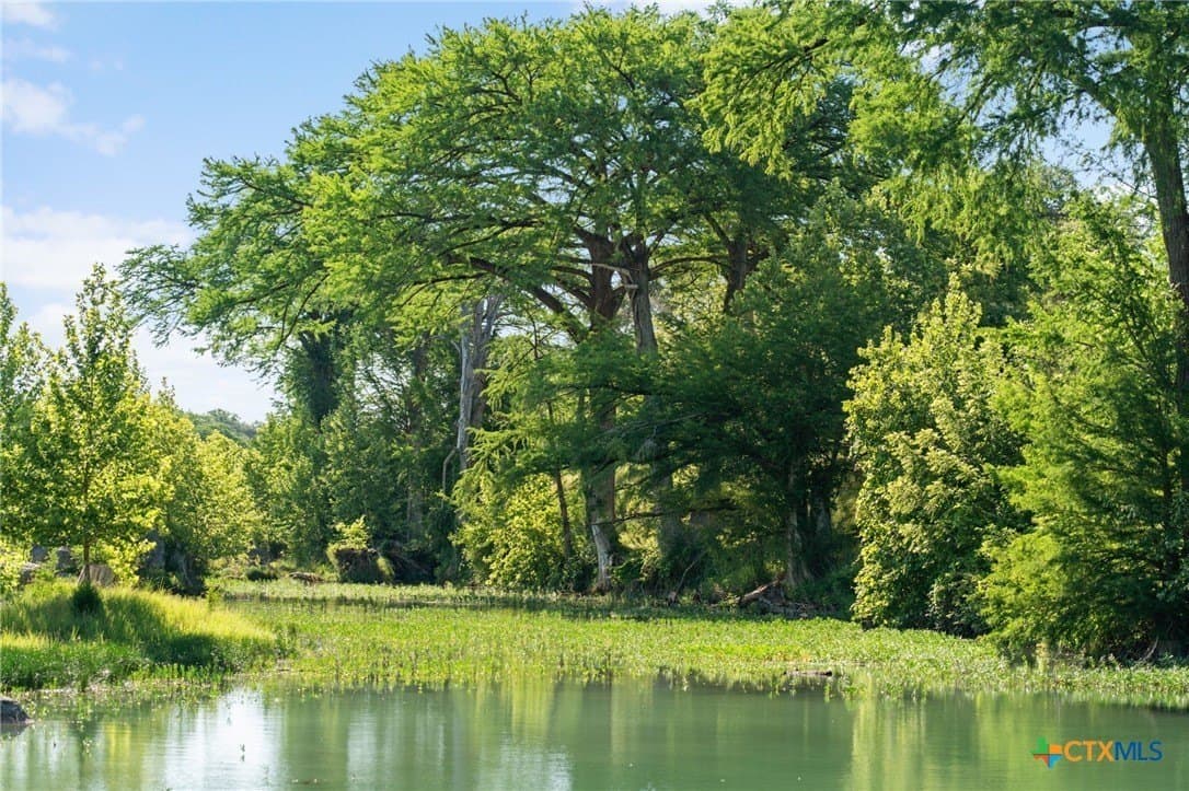 67 acres in Hays County - photo 22