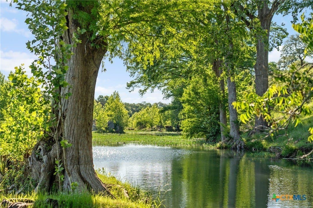 67 acres in Hays County - photo 21