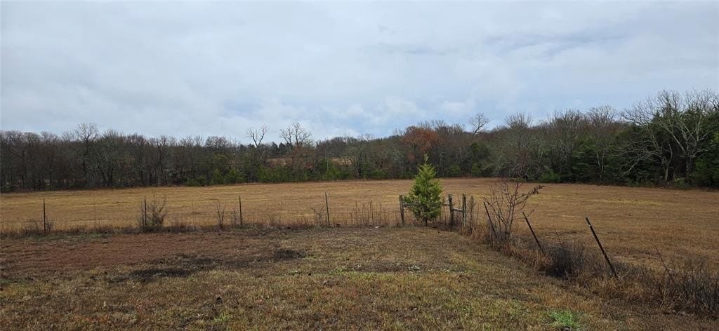 49.15 acres in Fannin County - photo 28