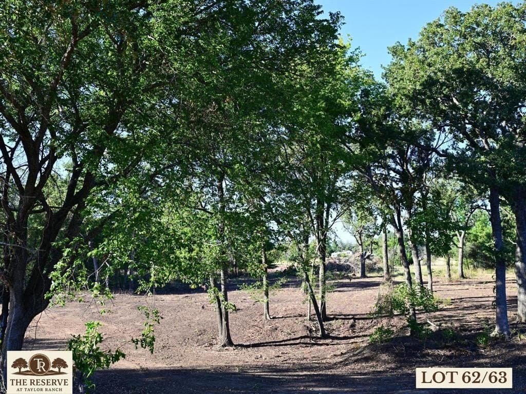 3.83 acres in Parker County - photo 3