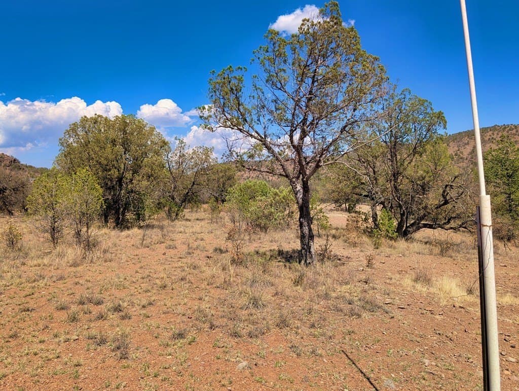 8 acres in Jeff Davis County - photo 2