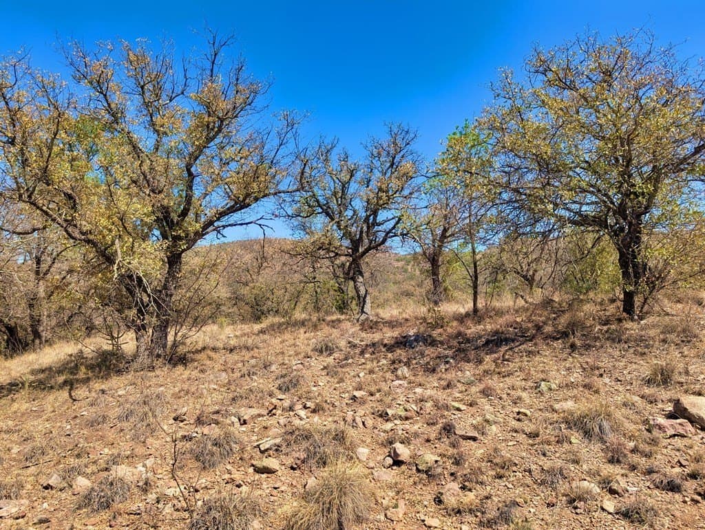8 acres in Jeff Davis County - photo 18