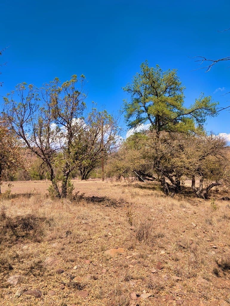 8 acres in Jeff Davis County - photo 13