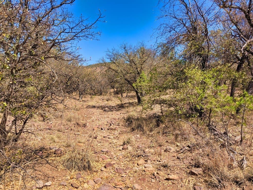 8 acres in Jeff Davis County - photo 8