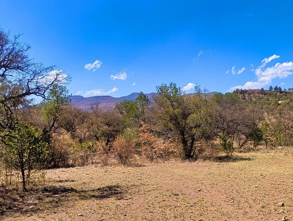 8 acres in Jeff Davis County - photo 19
