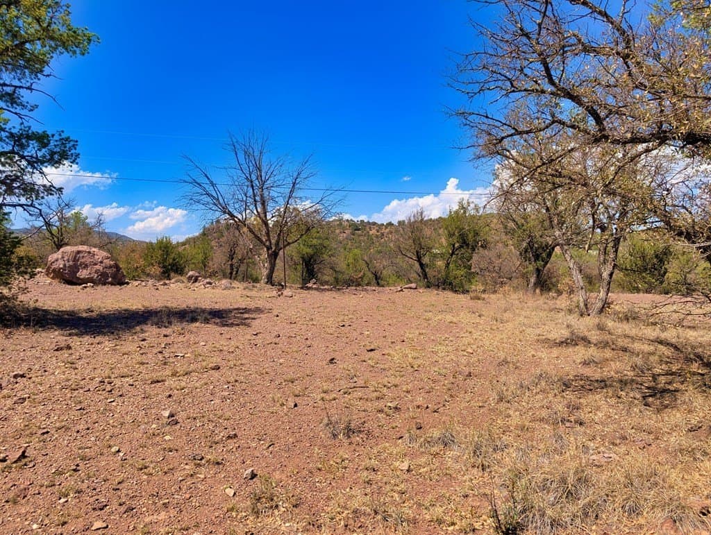 8 acres in Jeff Davis County - photo 9
